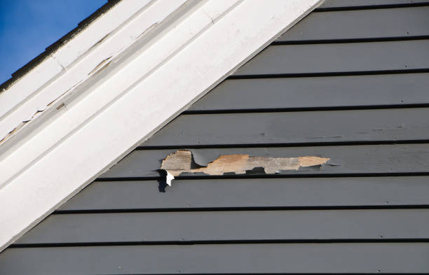 Best Property Management Cleanouts  in Harvey, MI